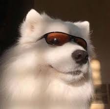Lê Thùy Lâm's avatar